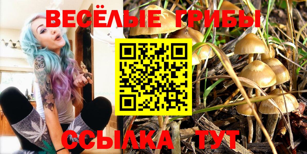 Галлюциногенные грибы MAGIC MUSHROOMS Чусовой